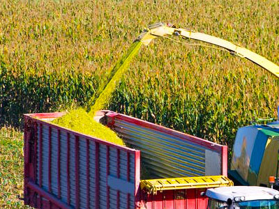 Healthy Farm Yield